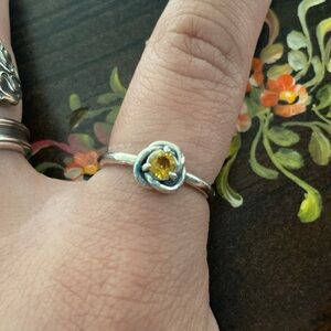 Pandora Eternity Ring/November